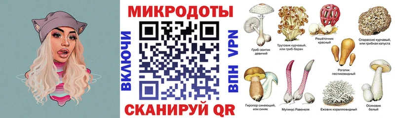 Псилоцибиновые грибы Cubensis  кракен ССЫЛКА  Нурлат  магазин   