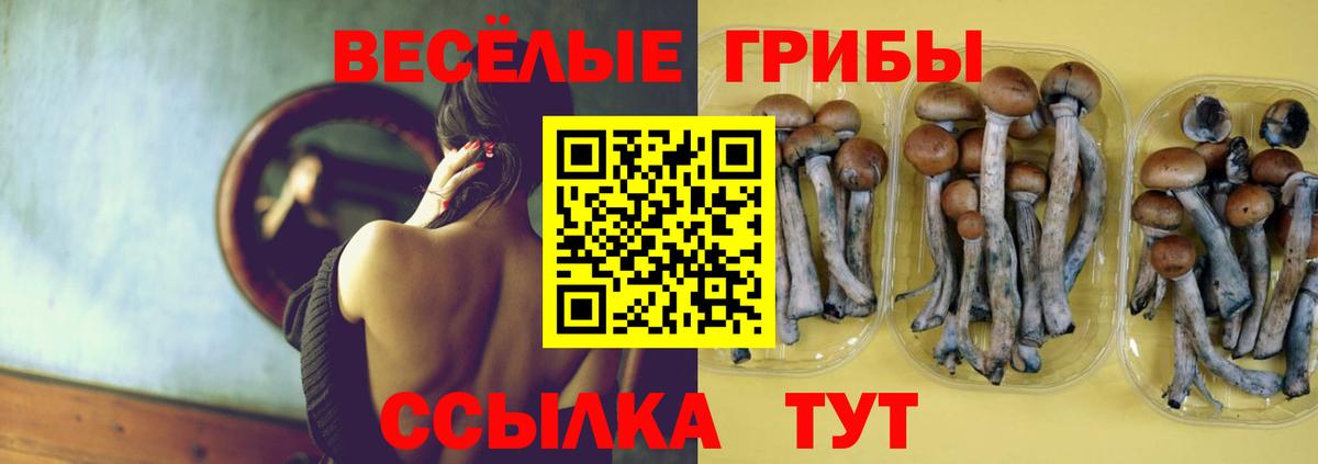 Нурлат  Псилоцибиновые грибы мухоморы  Вход с VPN 